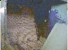  HUNTER 60" Feeds,
